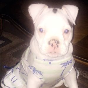 Meet your Posher, Susy